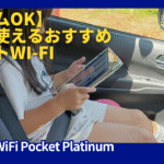 Rakuten WiFi Pocket Platinum
