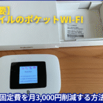 Rakuten WiFi Pocket Platinum