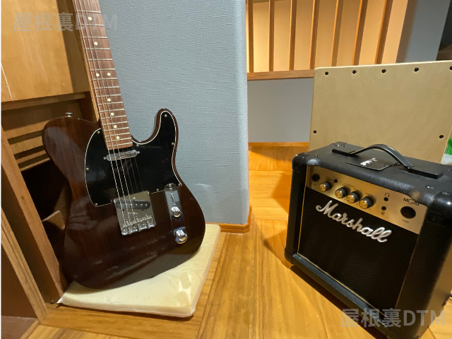 Marshall MG10